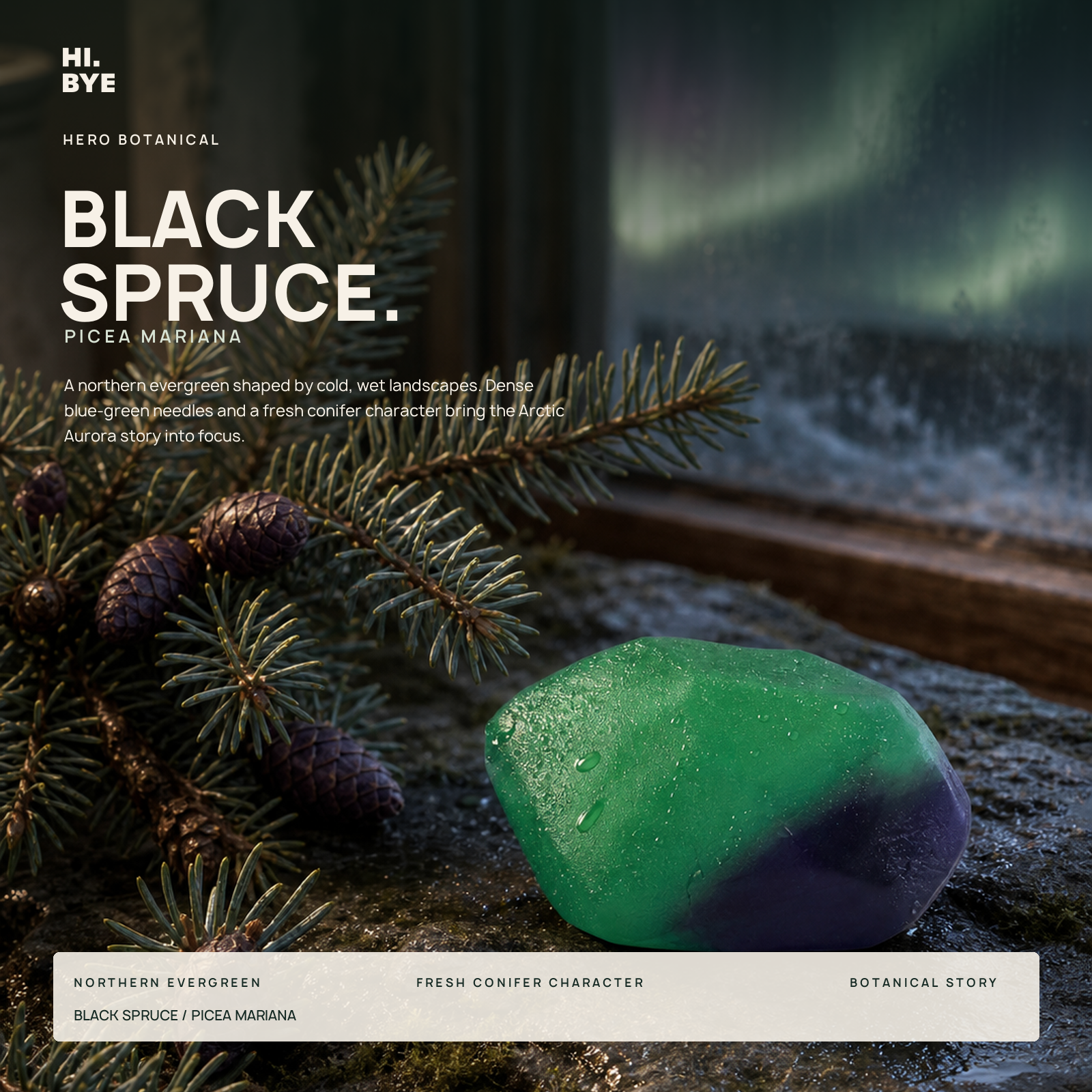 Hi-Bye Arctic Aurora Purity Soap 2